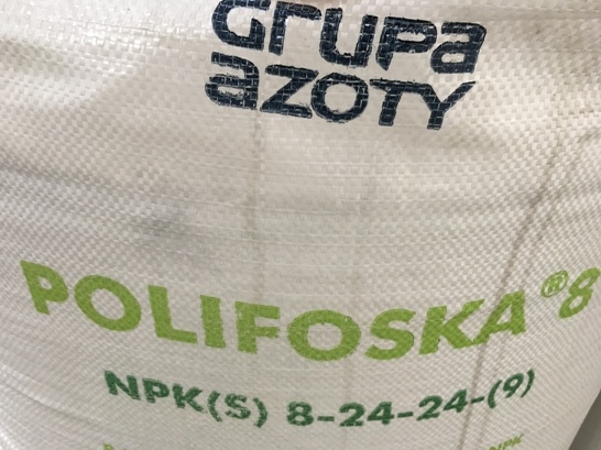 Amikor elkap a szapora és...