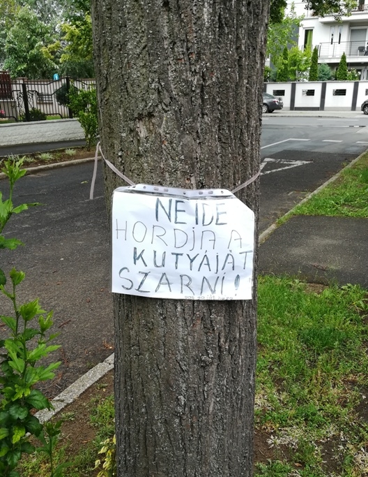 Nem kérnek a kutyagumiból