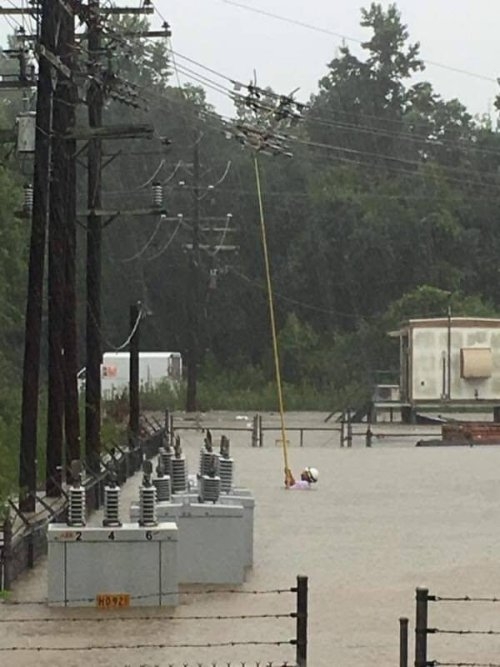 More, ebbű baj lesz!