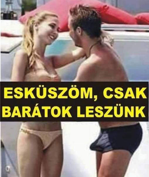 Napi tényfeltáró