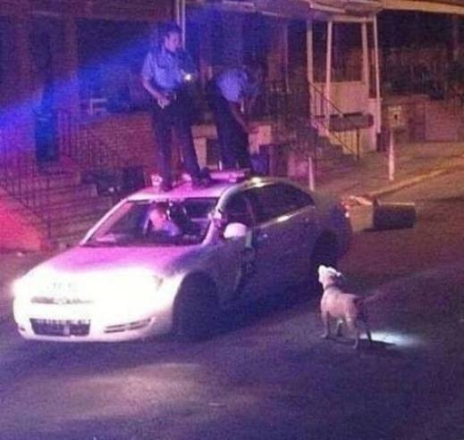 Szolgálunk és védünk