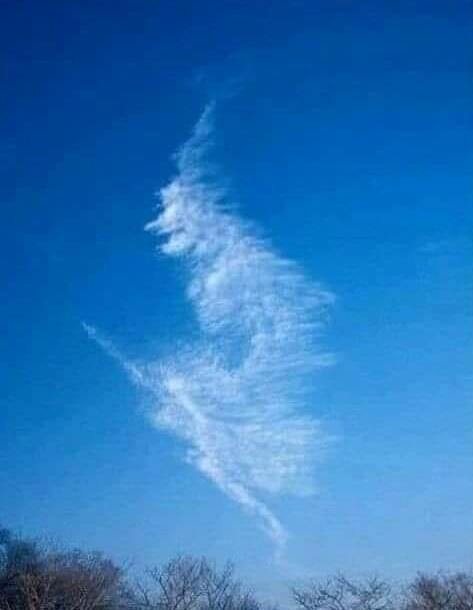 Ha jól látom anyósom közeledik