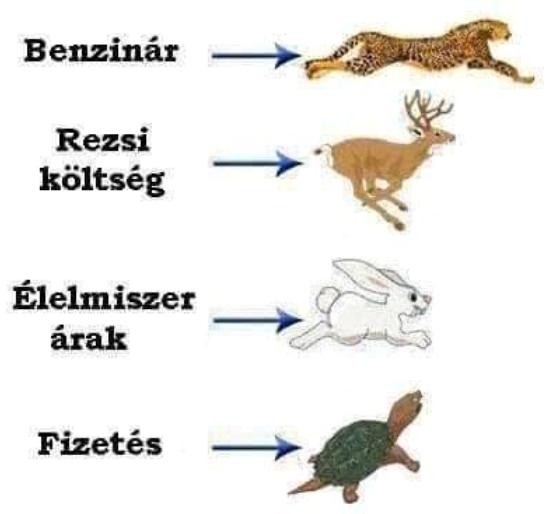 Nem vicces