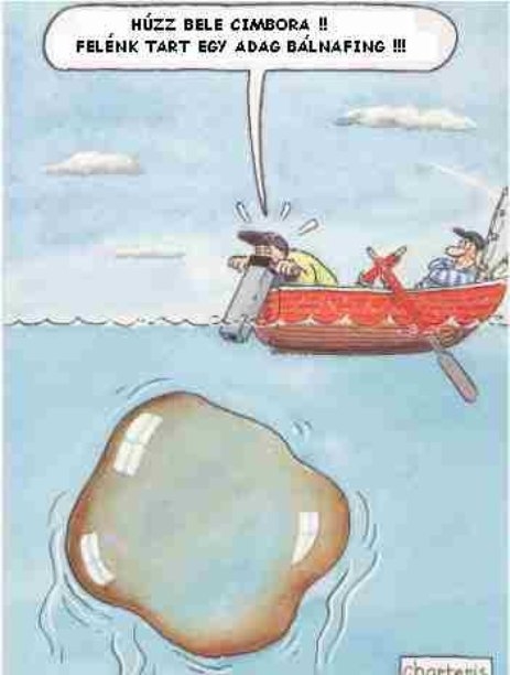 Bálnafing közeledik