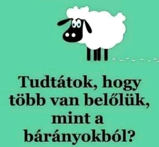 Este nem tudtam elaludni, ezért elkezdtem számolni az idiótákat...