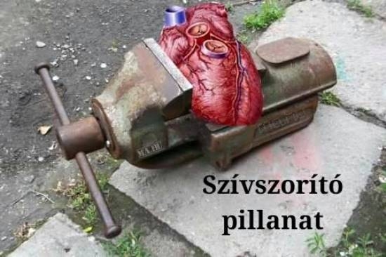 Hétfői képvicc