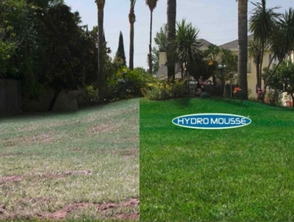 Fűvető készülék - Legyen káprázatos pázsitod!