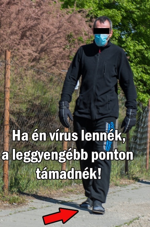 Napi COVID-19